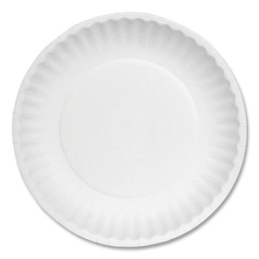 6" Paper Plates