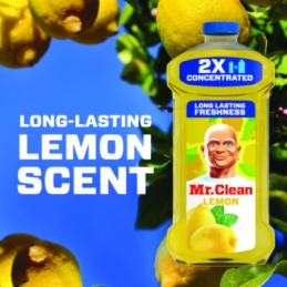 Mr. Clean Multi-Purpose Cleaning Solution