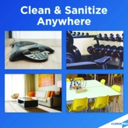 Clorox 4-in-1 Disinfectant and Sanitizer