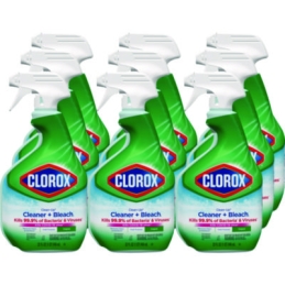 Clorox Clean-Up Cleaner + Bleach