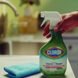 Clorox Clean-Up Cleaner + Bleach