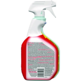 Clorox Disinfecting Bio Stain and Odor Remover