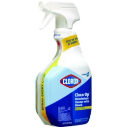 Clorox Clean-Up...