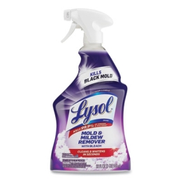 Lysol Mold and Mildew...