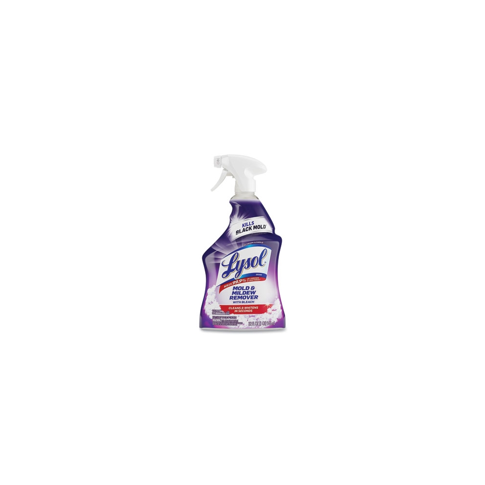 Lysol Mold and Mildew Remover with Bleach