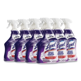 Lysol Mold and Mildew Remover with Bleach