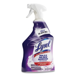 Lysol Mold and Mildew Remover with Bleach