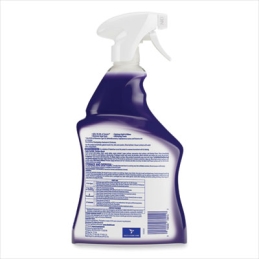 Lysol Mold and Mildew Remover with Bleach