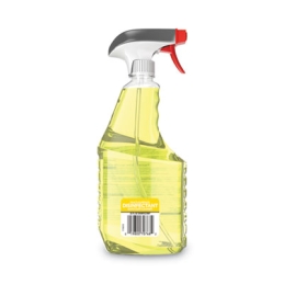 Windex Multi-Surface Disinfectant Cleaner