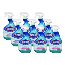 Clorox Bleach Foamer Bathroom Spray