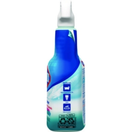 Clorox Bleach Foamer Bathroom Spray