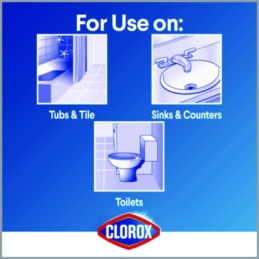 Clorox Bleach Foamer Bathroom Spray