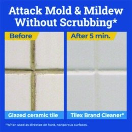 Tilex Disinfecting Instant Mold and Mildew Remover