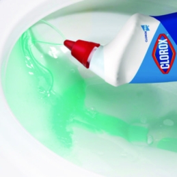 Clorox Toilet Bowl Cleaner with Bleach