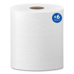 Hardwound Roll Paper Towels