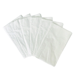 White Dinner Napkins