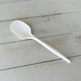 Medium Weight Plastic Soup Spoons