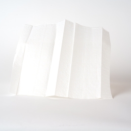 White C-Fold Towels