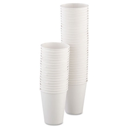 12 oz. Polycoated Hot Paper Cups