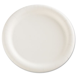 9” Premium Coated Paper Plates