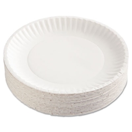 9” Paper Plates