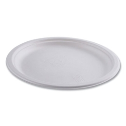 10” Vanguard Renewable and Compostable Sugarcane Plates