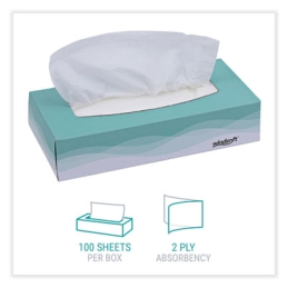 2 Ply White Flat Box Facial Tissue