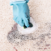 Carpet Care and Cleaning Chemicals - JBS Janitorial and Cleaning Supplies